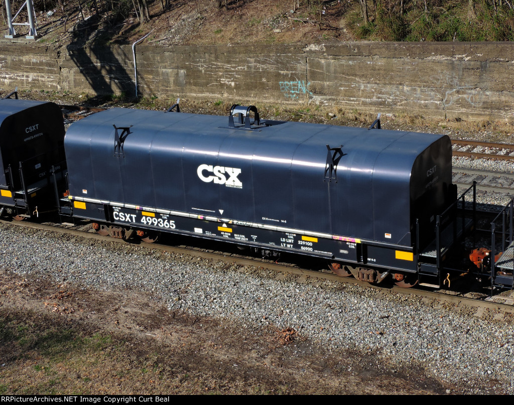 CSX 499365